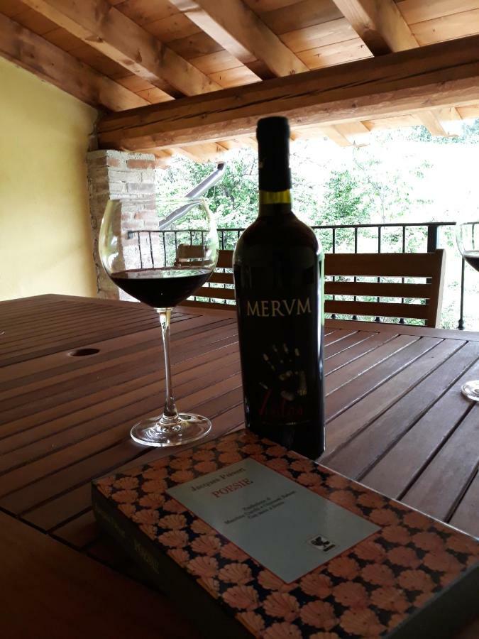 Agriturismo "Veritas" Bed & Wine Casaleggio Boiro 外观 照片