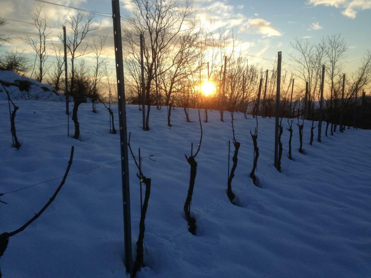 Agriturismo "Veritas" Bed & Wine Casaleggio Boiro 外观 照片