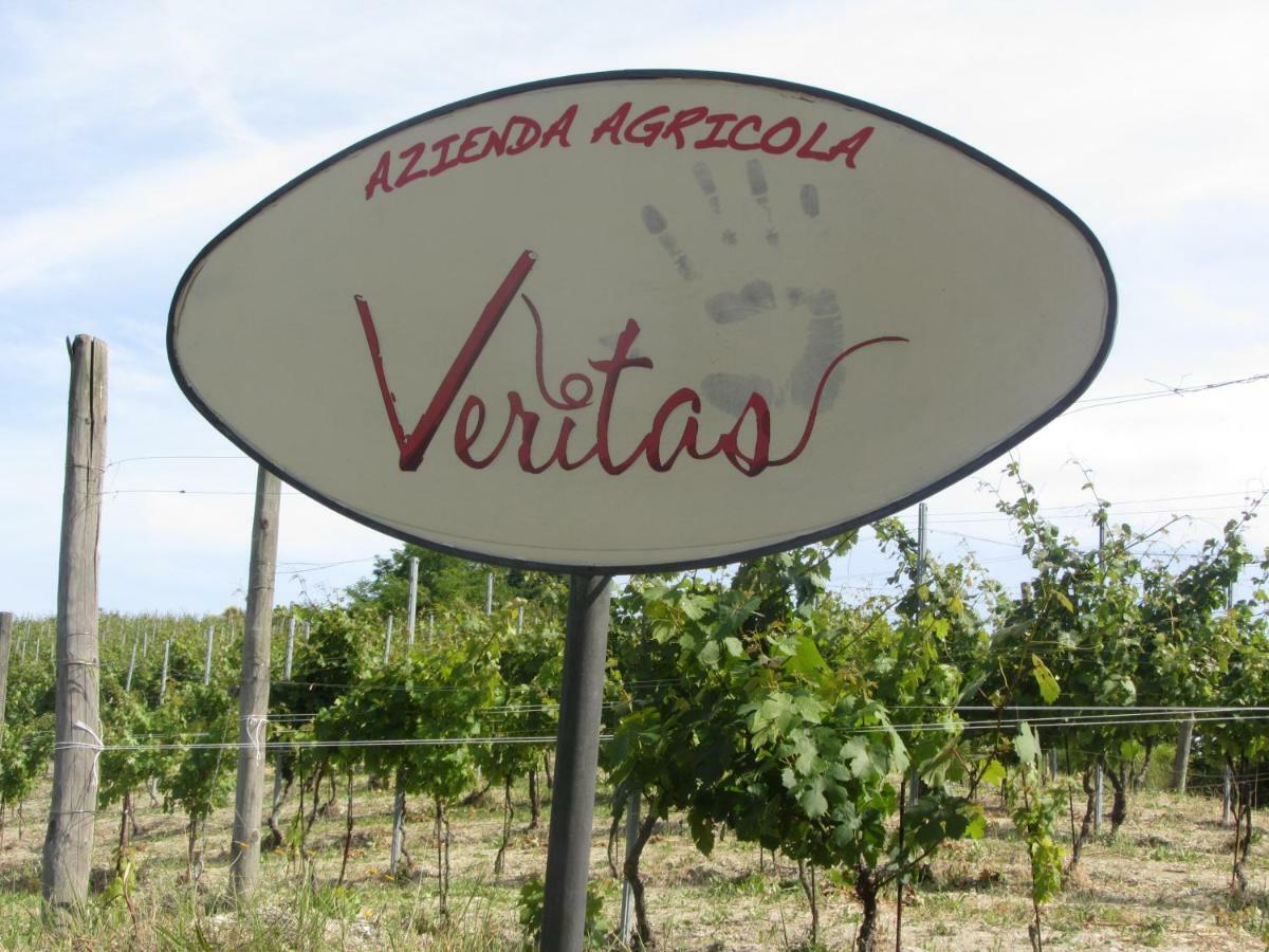 Agriturismo "Veritas" Bed & Wine Casaleggio Boiro 外观 照片
